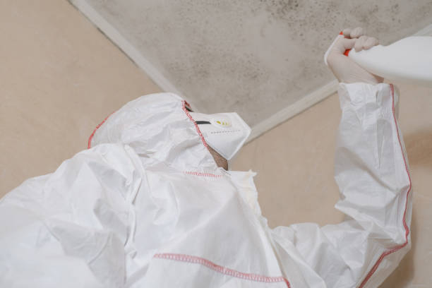 Best Certified Mold Removal  in Samoset, FL