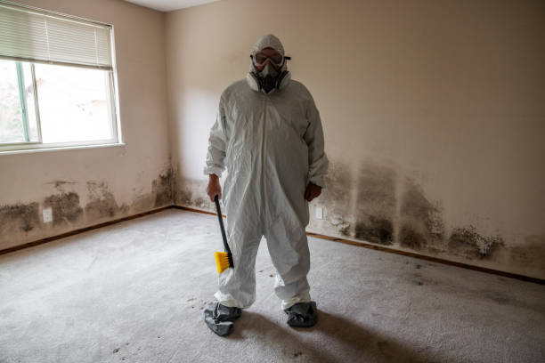 Best Fast Mold Removal  in Samoset, FL